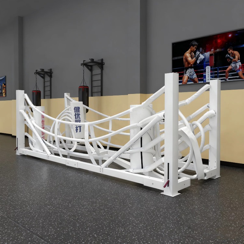 접이식 체육관 복싱 링 세트, 가정용 복싱 훈련을 위한 - Home Gym Equipment Set 리뷰 및 가격
